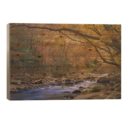 Little River Flowing Through Autumn Forest, Great Smoky Mountains National Park, Tennessee Print On Wood by Tim Fitzharris