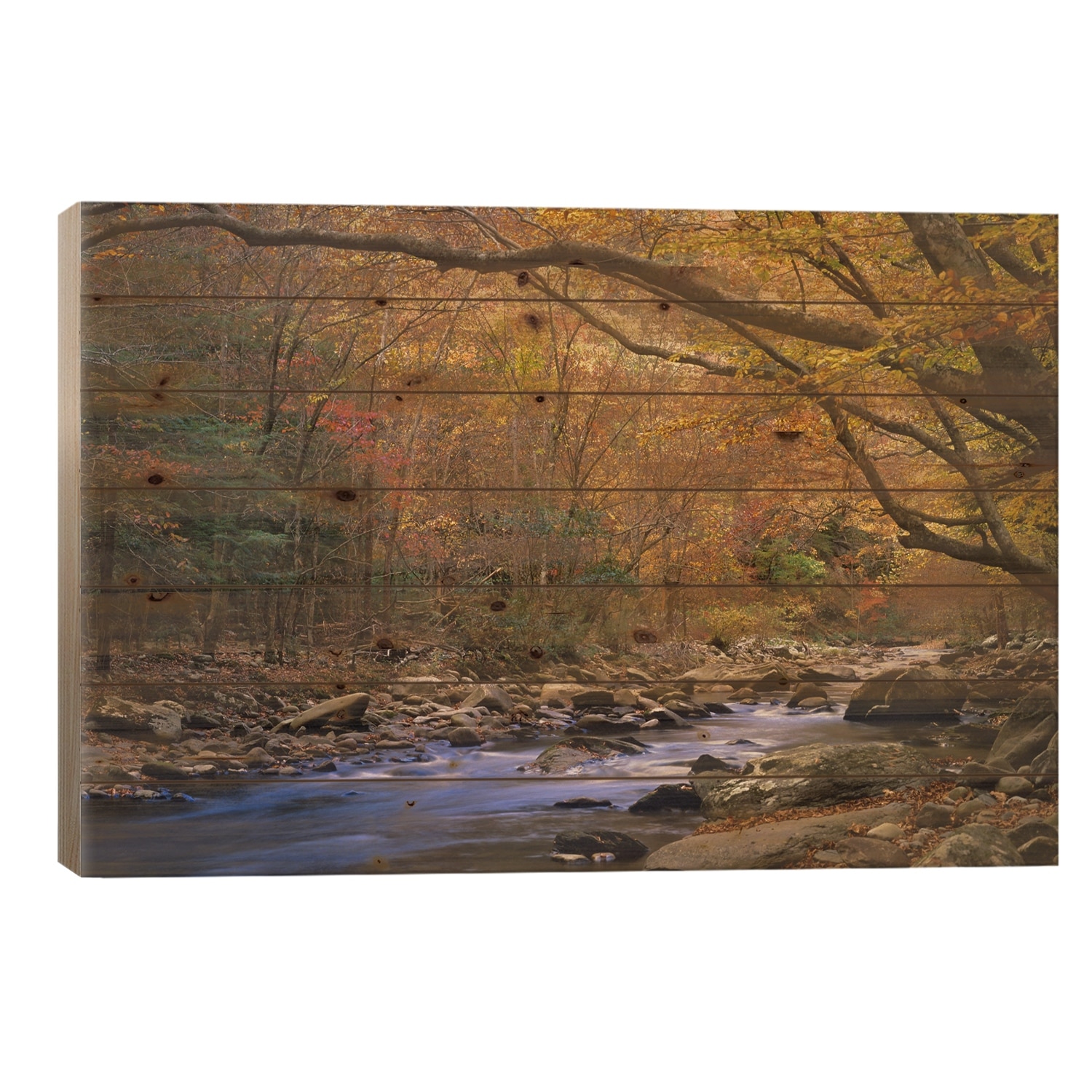 Little River Flowing Through Autumn Forest, Great Smoky Mountains National Park, Tennessee Print On Wood by Tim Fitzharris