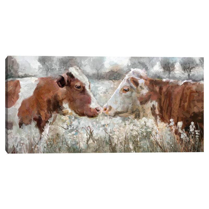 Cow Kiss Canvas Art Print