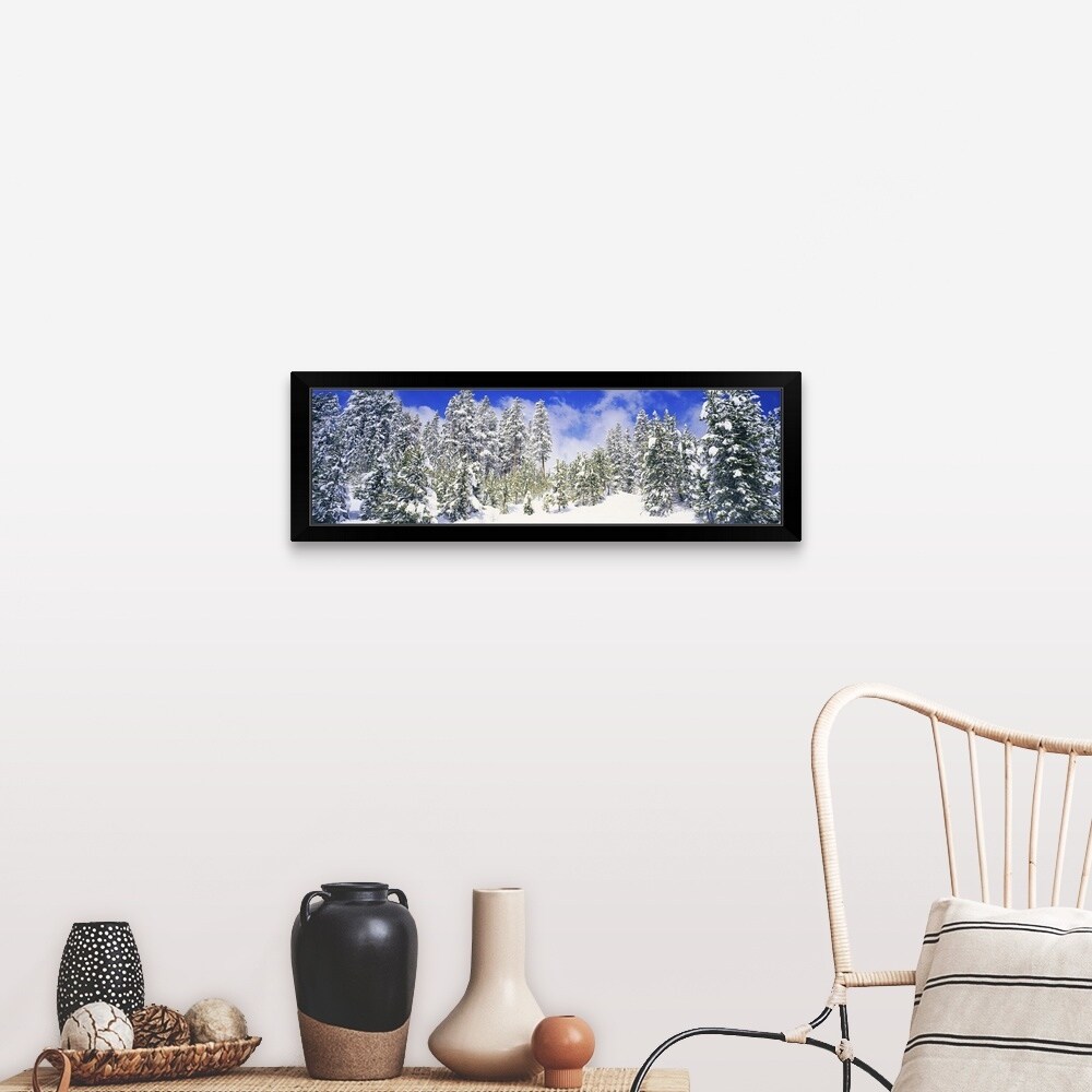 Shop Pine Trees On A Snow Covered Hill Breckenridge Summit
