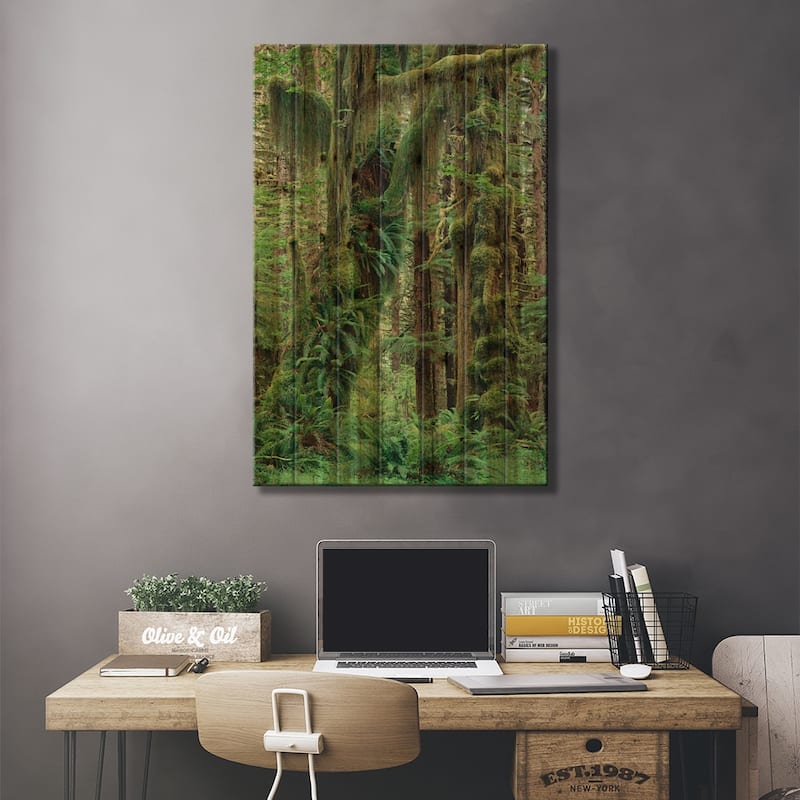 Temperate Rainforest With Moss Covered Trees And Ferns, Olympic National Park, Washington Print On Wood by Gerry Ellis