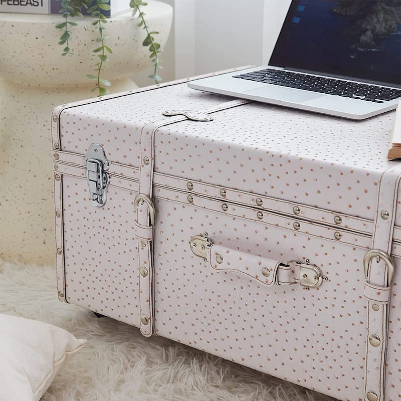 Texture® Brand Trunk - Faux Ostrich by DormCo - 29"L x 20"W x 14"H