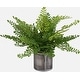 preview thumbnail 4 of 2, Uttermost 60237 Maidenhair Fern 14" Tall Metal Faux Flora Planter