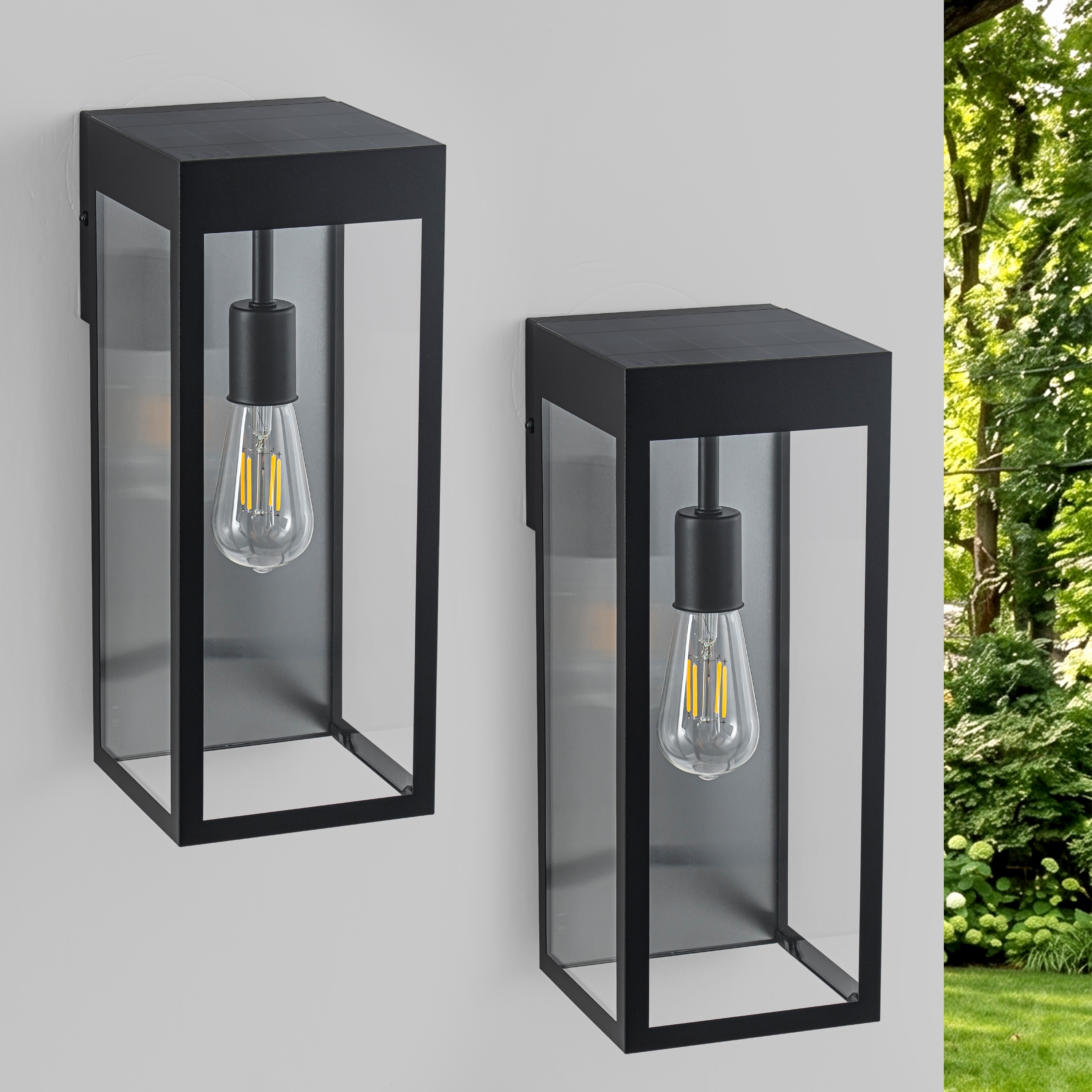 C Cattleya 2-Pack Matte Black Solar Outdoor Wall Lantern with Clear Tempered Glass(Light Bulbs Included)