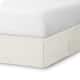 Option Cream