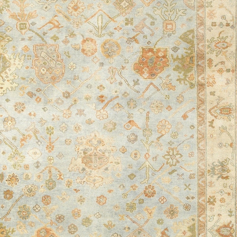 HomeRootsOriental Traditional Rectangle Area Rug