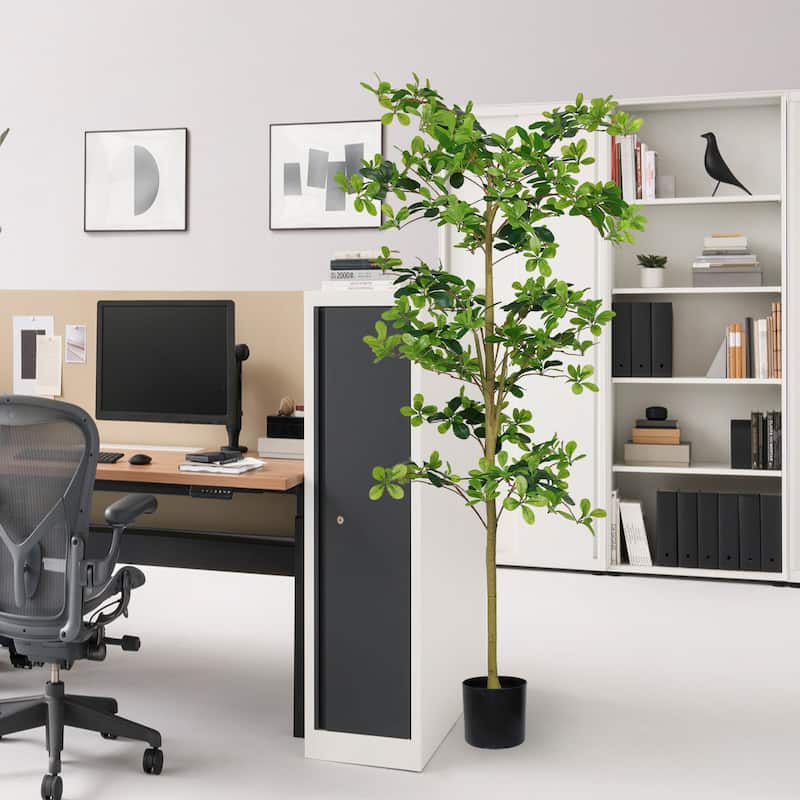 GDFStudio - Marcellus 6FT Polyscias Fruticosa Faux Silk Tree with Collapsible Tung Trunk - Green