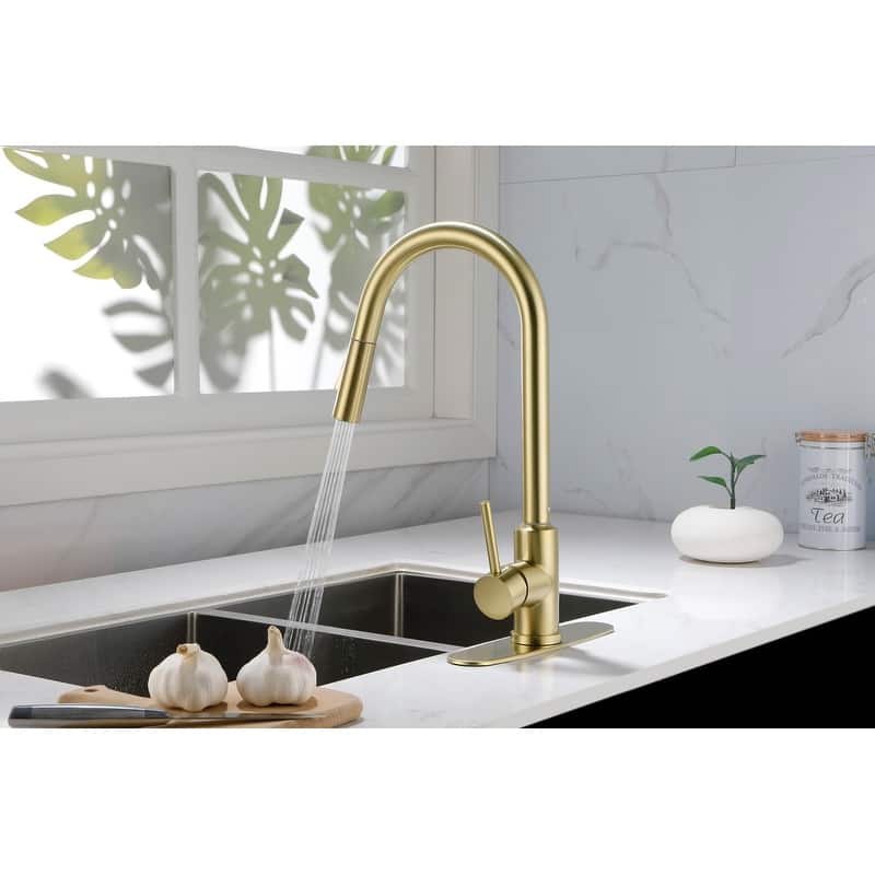 Kitchen Faucet with Pull Down Sprayer