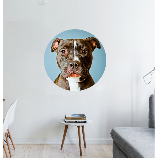 Pitbull wall outlet decor
