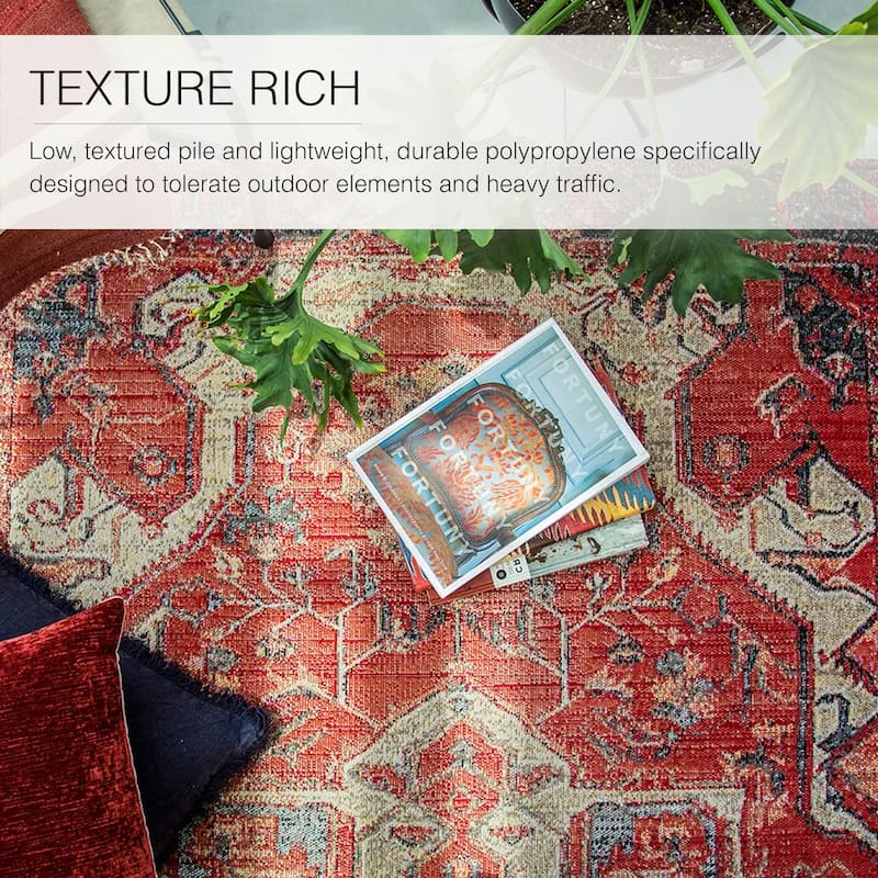 Leighton Indoor and Outdoor Medallion Area Rug