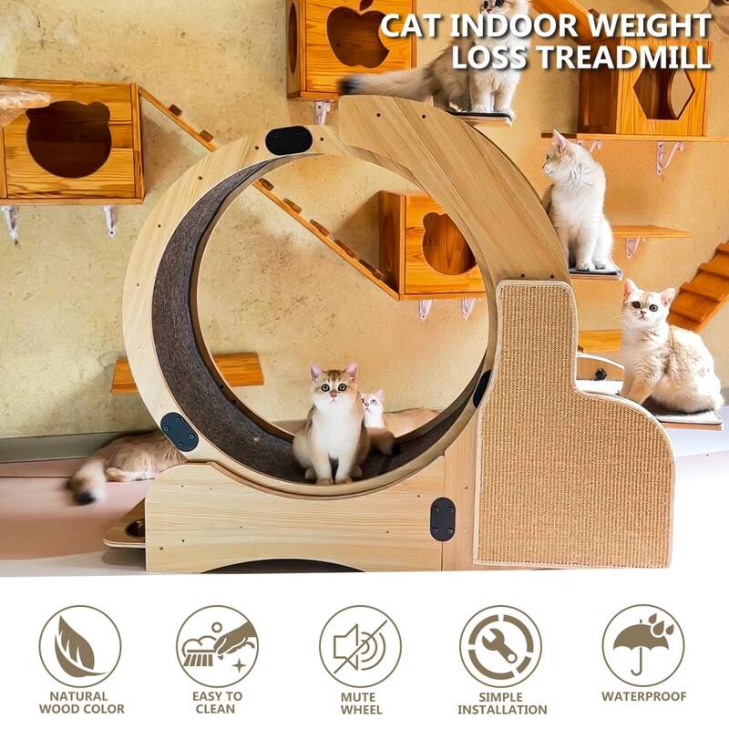 Cat Exercise Wheel With Silent Wheel Wood