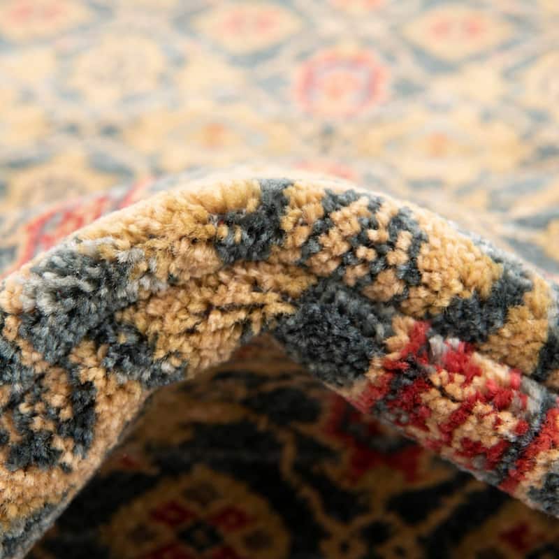 Traditional Cassia Collection Area Rug