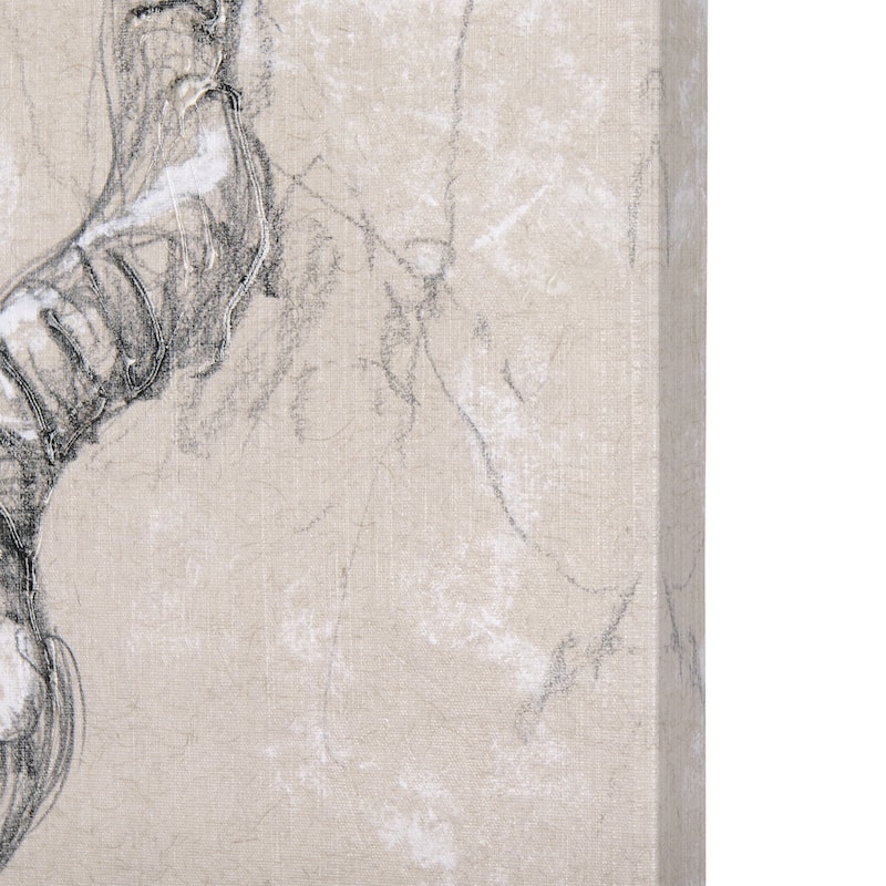 Sketch of Animal III (Antelope) (30 x 45) Canvas Art Print