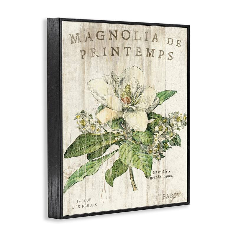 Stupell French Magnolias In Spring Framed Giclee Texture Art