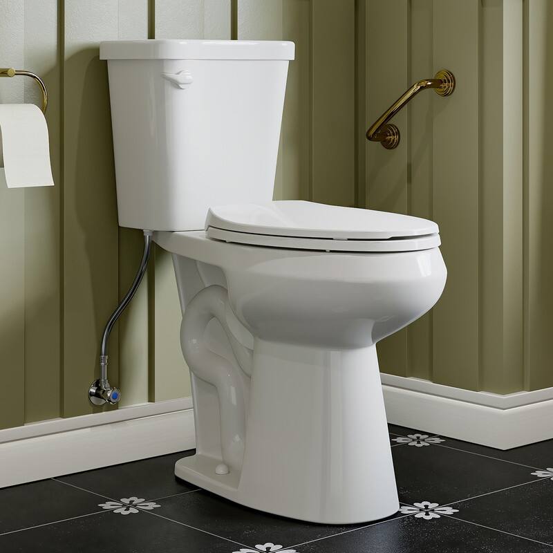 HOROW 19 Inch ADA Tall 2 Piece Dual Flush Elongated Toilet White 1.1 /1.6 GPF Strong Flush Soft Close Seat - 19 Inch