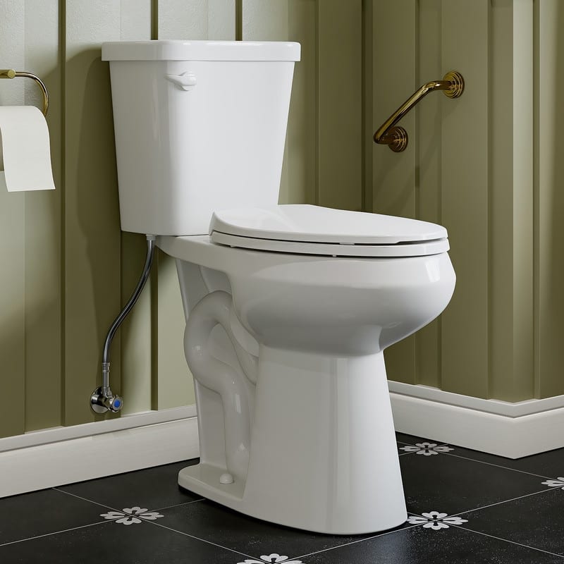 HOROW 19 Inch ADA Tall 2 Piece Dual Flush Elongated Toilet White 1.1 /1.6 GPF Strong Flush Soft Close Seat - 19 Inch