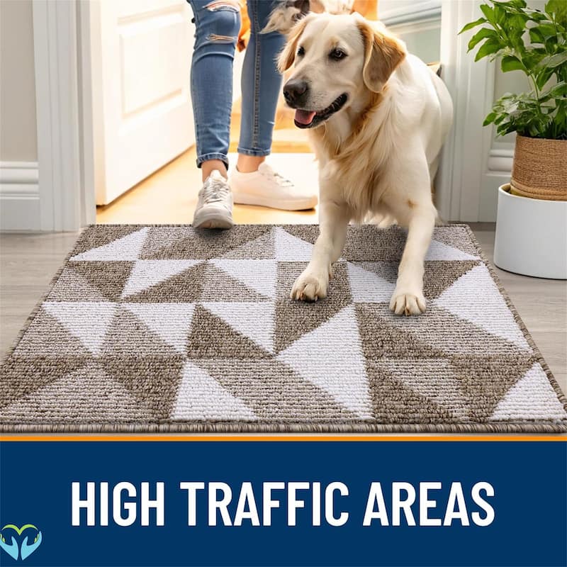 2 pack-Door Mat Indoor Entrance Washable