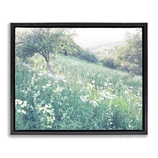 Stupell Sunny Daisies in Meadow Framed Floater Canvas Wall Art Design ...