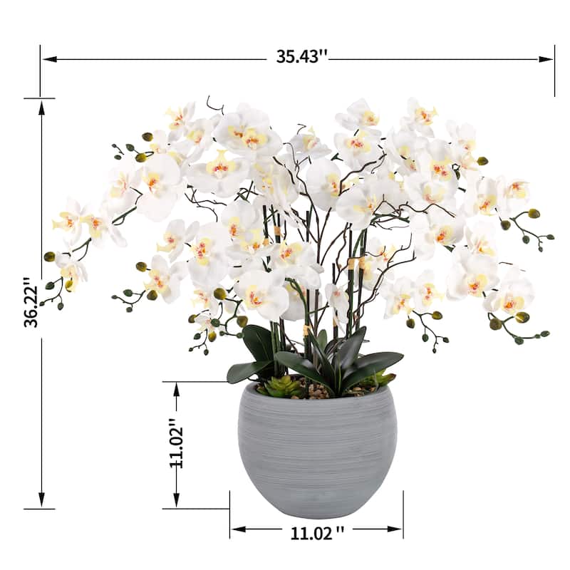 9 Stems Nearly Natural White Phalaenopsis Orchids with Succulents in White Magnesium Oxide Pot - 36.22" H x 35.43" W x 35.43" D