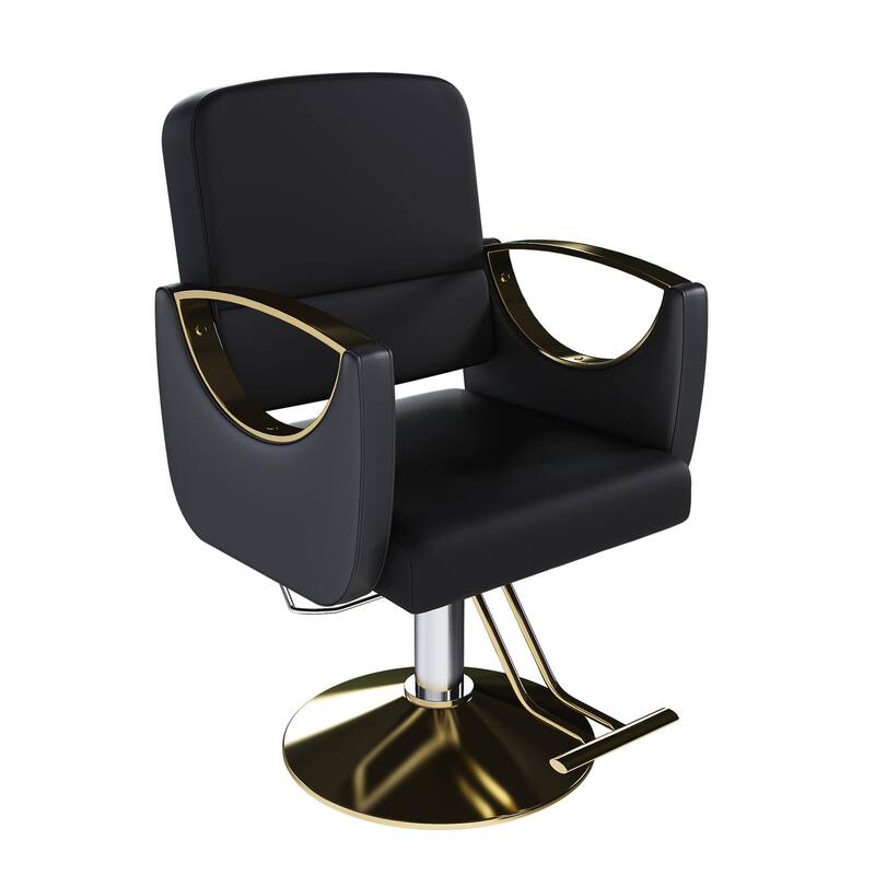 Hydraulic Salon Chair 360 Swivel Barber Stylist Chair with Pump