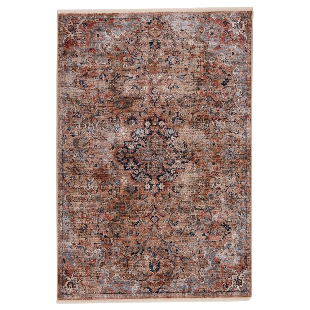 Amena Medallion Dark Area Rug