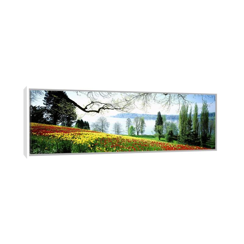 iCanvas "Flowers Near The Shoreline, Mainau (Flower Island), Germany" by Panoramic Images Framed Canvas Print - 16x48 - White