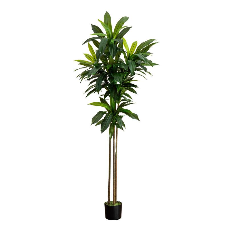 7' Artificial Dracaena Tree with Real Touch Leaves - Green