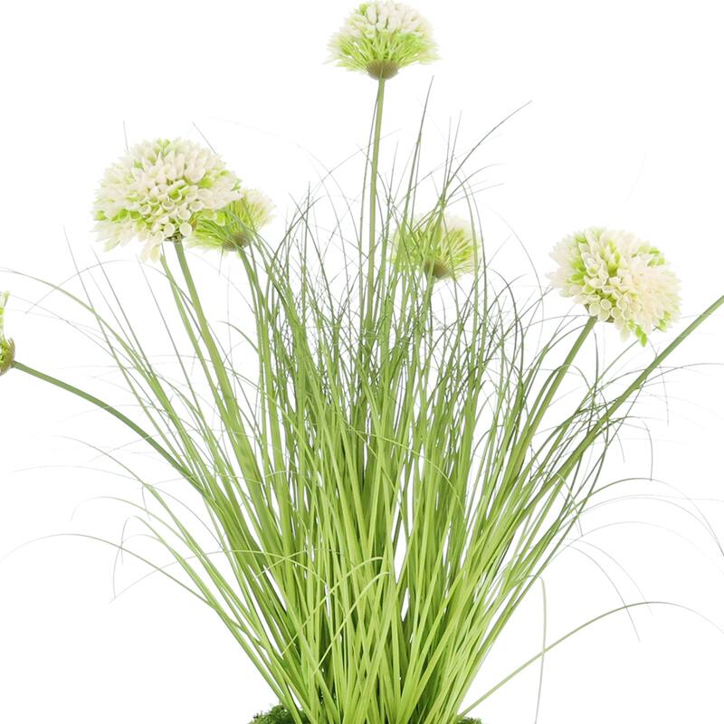 Dahlias and Grass in Strawgrass Pot - 28