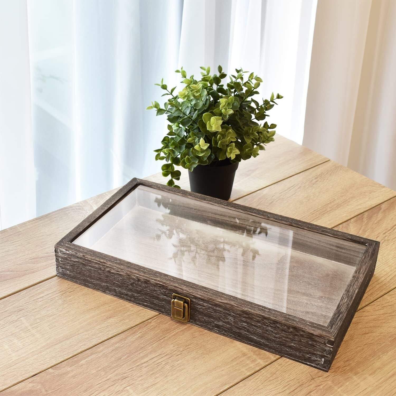 Glass top jewelry display case sale