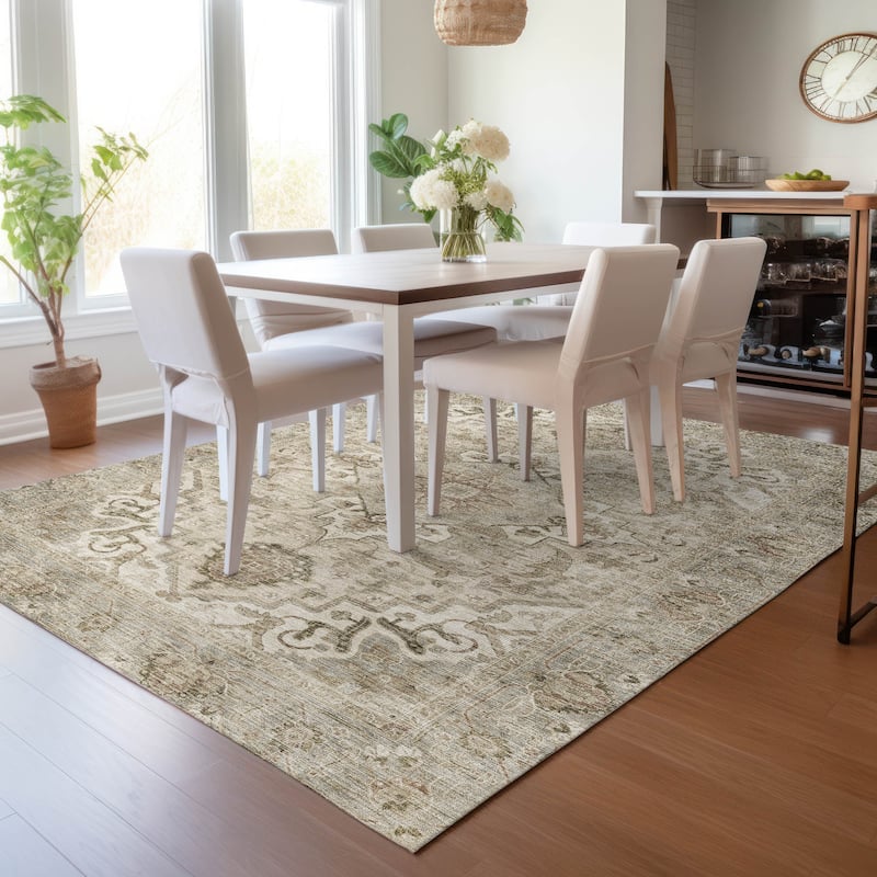 Machine Washable Indoor/Outdoor Traditional Vintage Chantille Rug