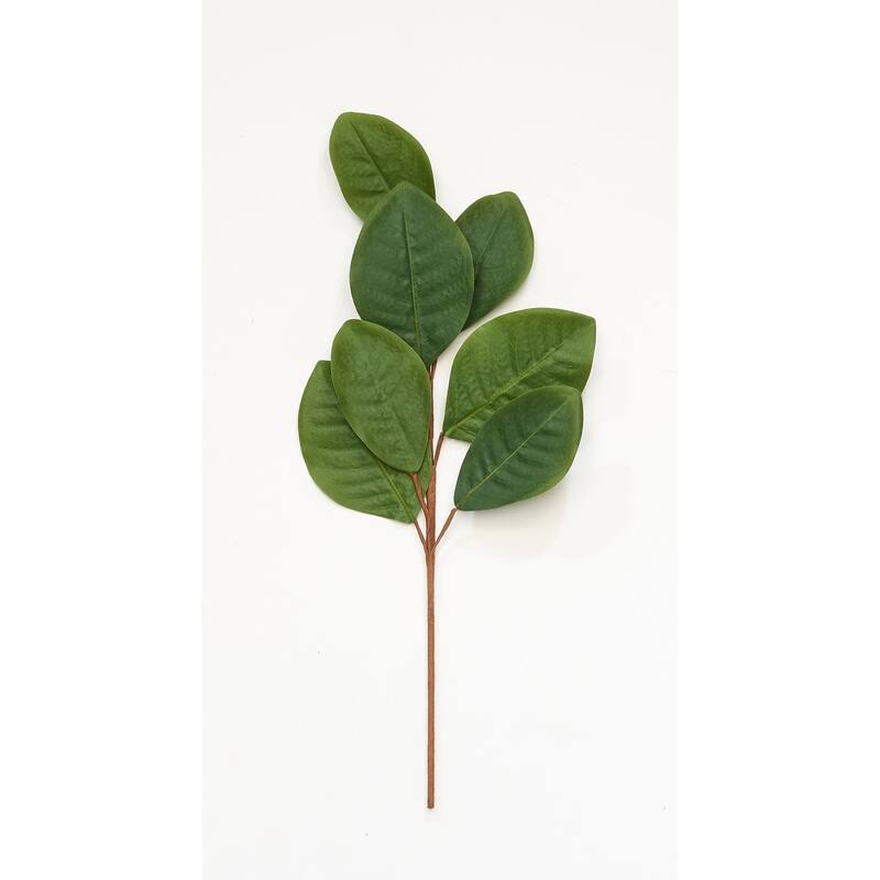 21" Magnolia Spray, Set of 3 - Green