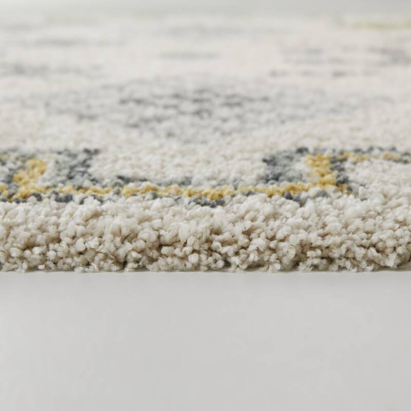 Felipe Southwestern Shag Area Rug