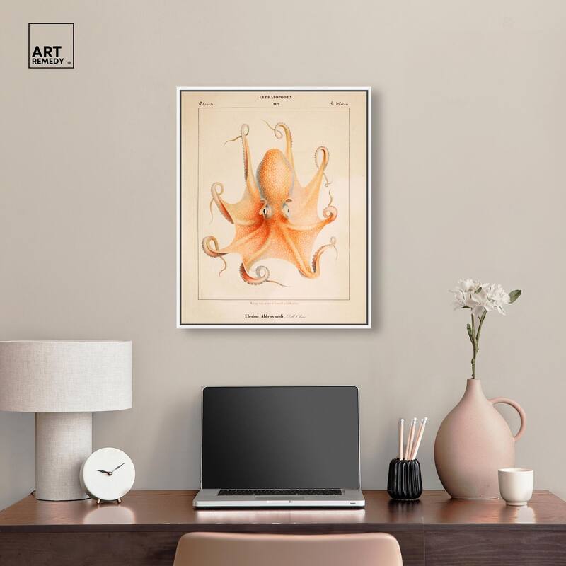 Verany The Octopus 1815 II Canvas by Art Remedy