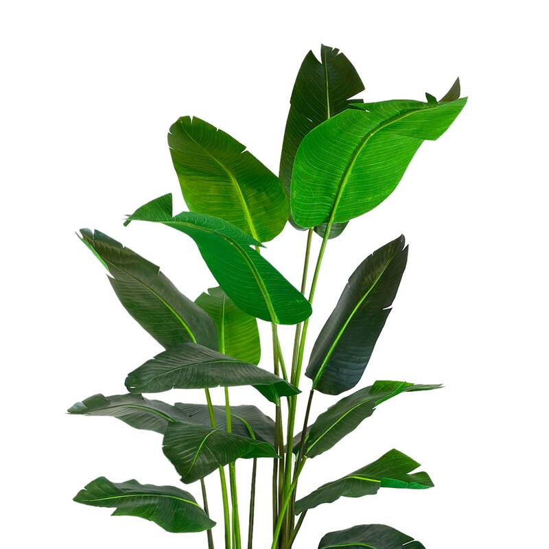 5.5 ft Bird of Paradise Tree in a Round Fiberstone Container - Green