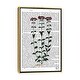 preview thumbnail 4 of 7, iCanvas "Italian Carnation VI" by Fab Funky Framed Gold - 26x18