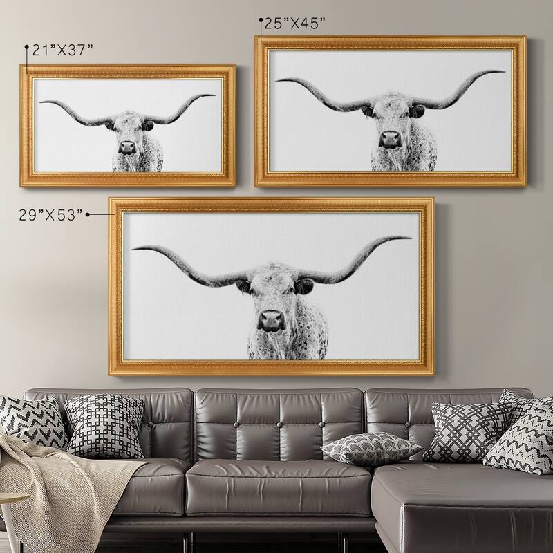 Longhorn Gaze Premium Framed Canvas- Ready to Hang