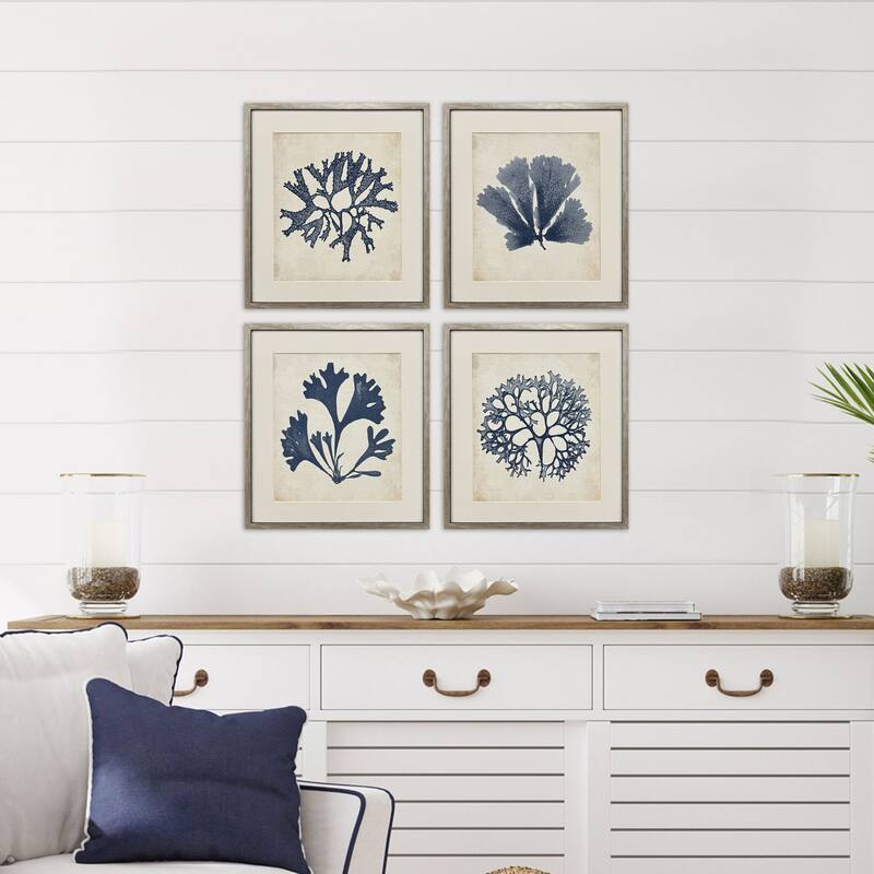 Paragon Indigo Sea Life Framed Art - Set of 4 - 4-piece Set