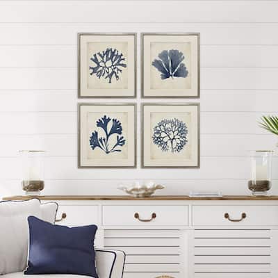 Paragon Indigo Sea Life Framed Art - Set of 4