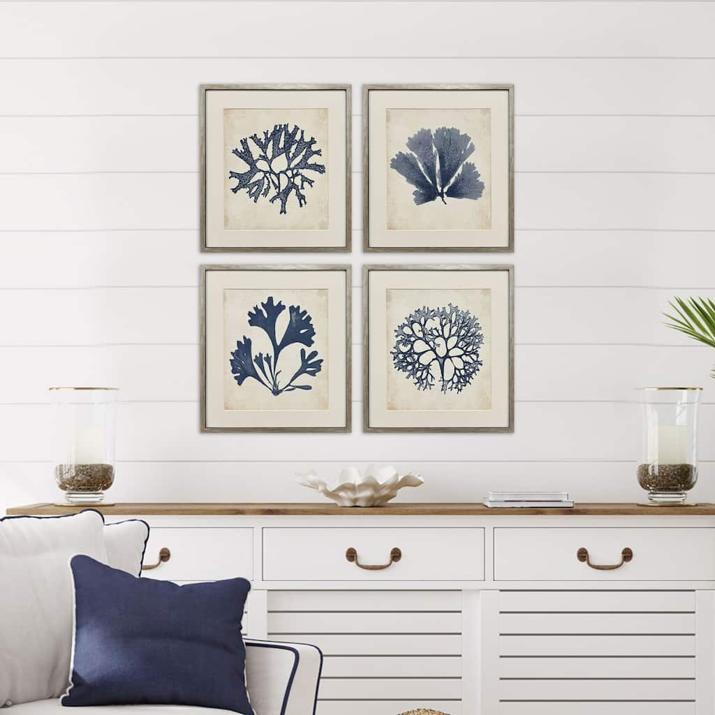 Paragon Indigo Sea Life Framed Art - Set of 4