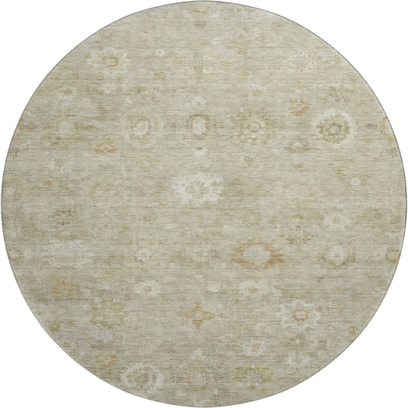 Premium Washable Super Soft Vintage Traditional Mayfield Rug