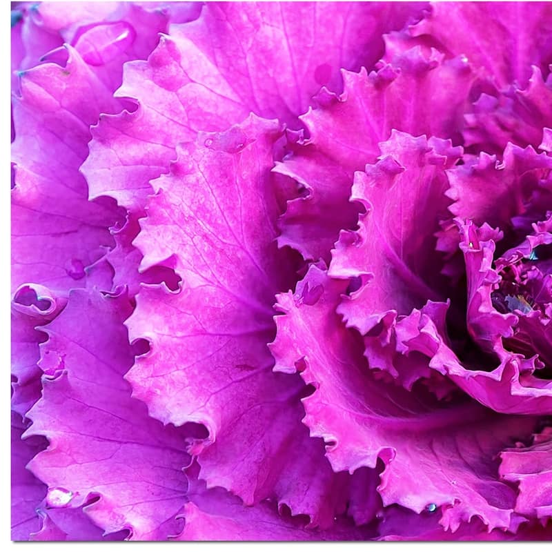 HomeRoots 32" X 95" Pink Acrylic Hanging Wall Decor