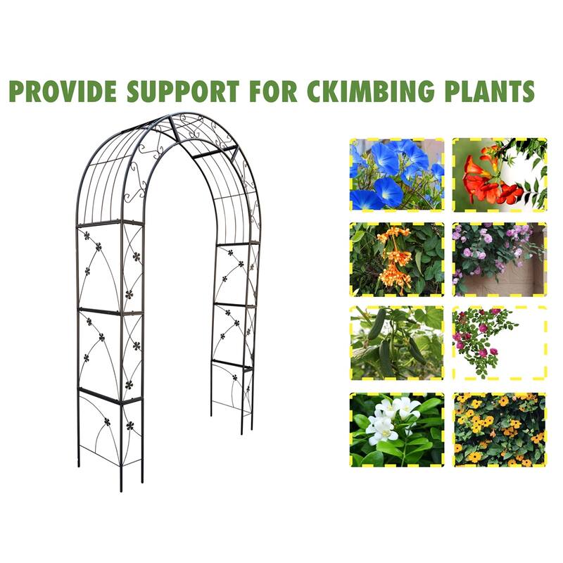 Metal Arch Garden Trellis for Climbing Plants