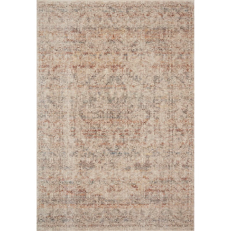 Alexander Home Leah Vintage Shabby Chic Area Rug