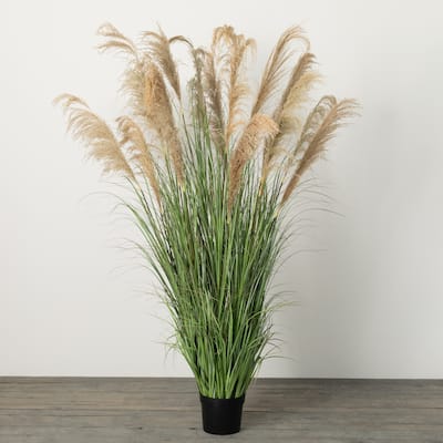 6'4"H Sullivans Towering Potted Plume Grass, Multicolored - 4'2.5"L x 4' 2.5"W x 6' 4"H