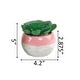 preview thumbnail 7 of 7, Succulent in Two tone lines pattern ceramic pot ,Teal - ONE-SIZE