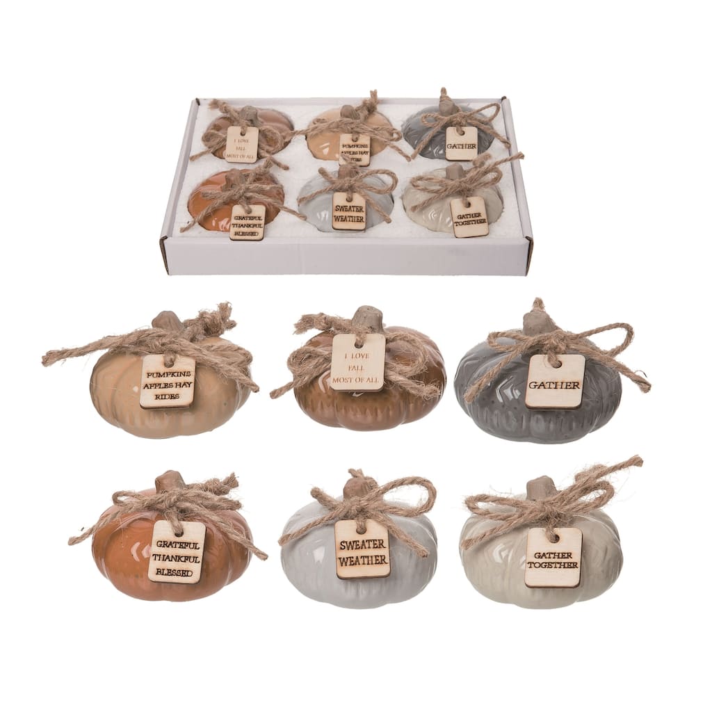 Transpac Terracotta 10.75 in. Multicolor Harvest Rustic Pumpkins with Tag In Display Set of 6