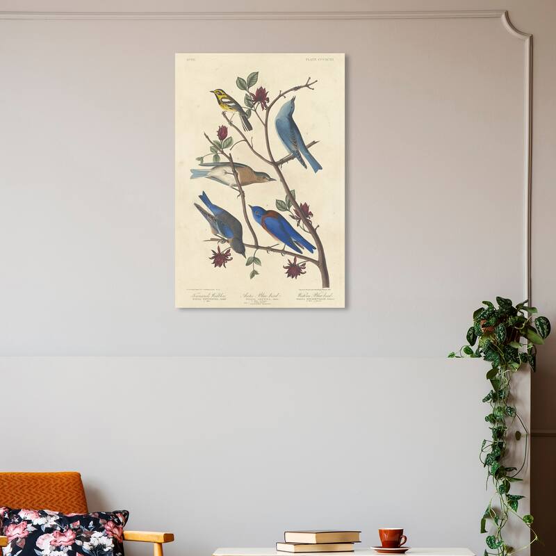 Wynwood Studio Canvas Animals Robert Havell - Blue Birds Blue and Sapphire Blue Traditional Wall Art Canvas Print - 30 x 20