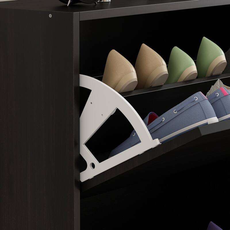 Timechee Black 2-Drawer Shoe Cabinet with 4-Tier Rack (Up to 12 Pairs)