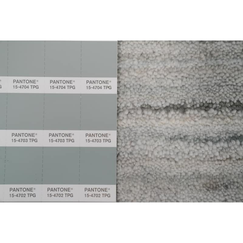 Hand Knotted Oriental Viscose Silk Carpet Tribal Animal Pictorial Greys & Charcoal Gabbeh Area Rug - 11' 10'' X 5' 2''