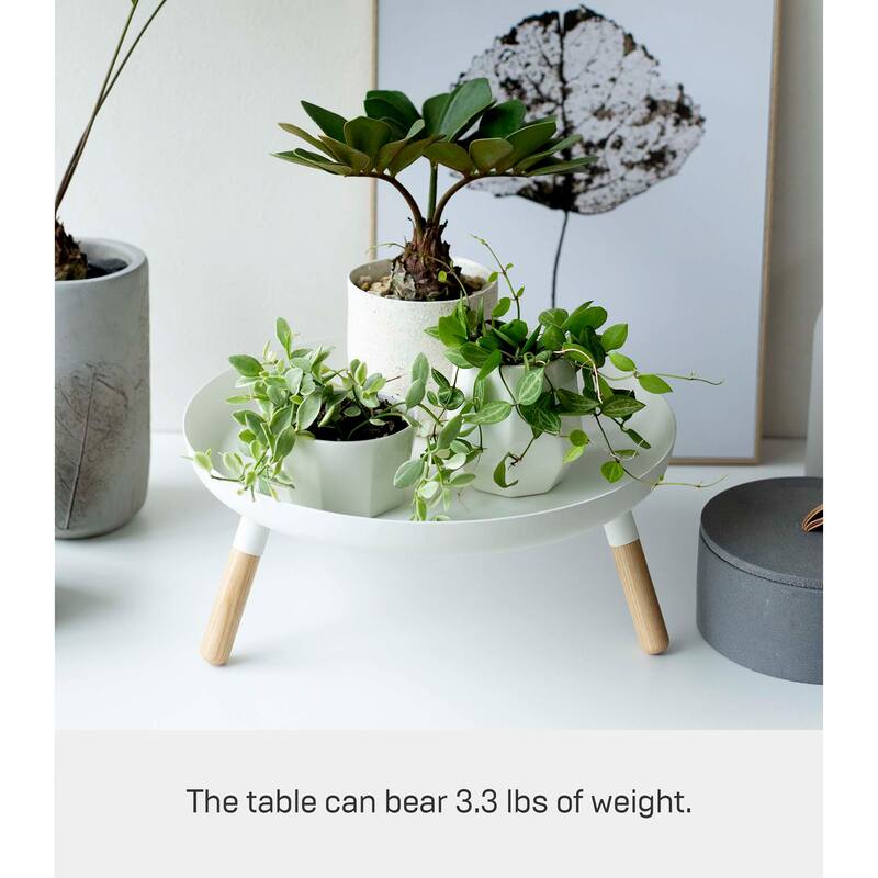 Yamazaki Home Countertop Pedestal Tray, Steel and Wood, Holds 3.3 lbs, Minimal Assembly - L 12.6 x W 12.6 x H 5.12 inches